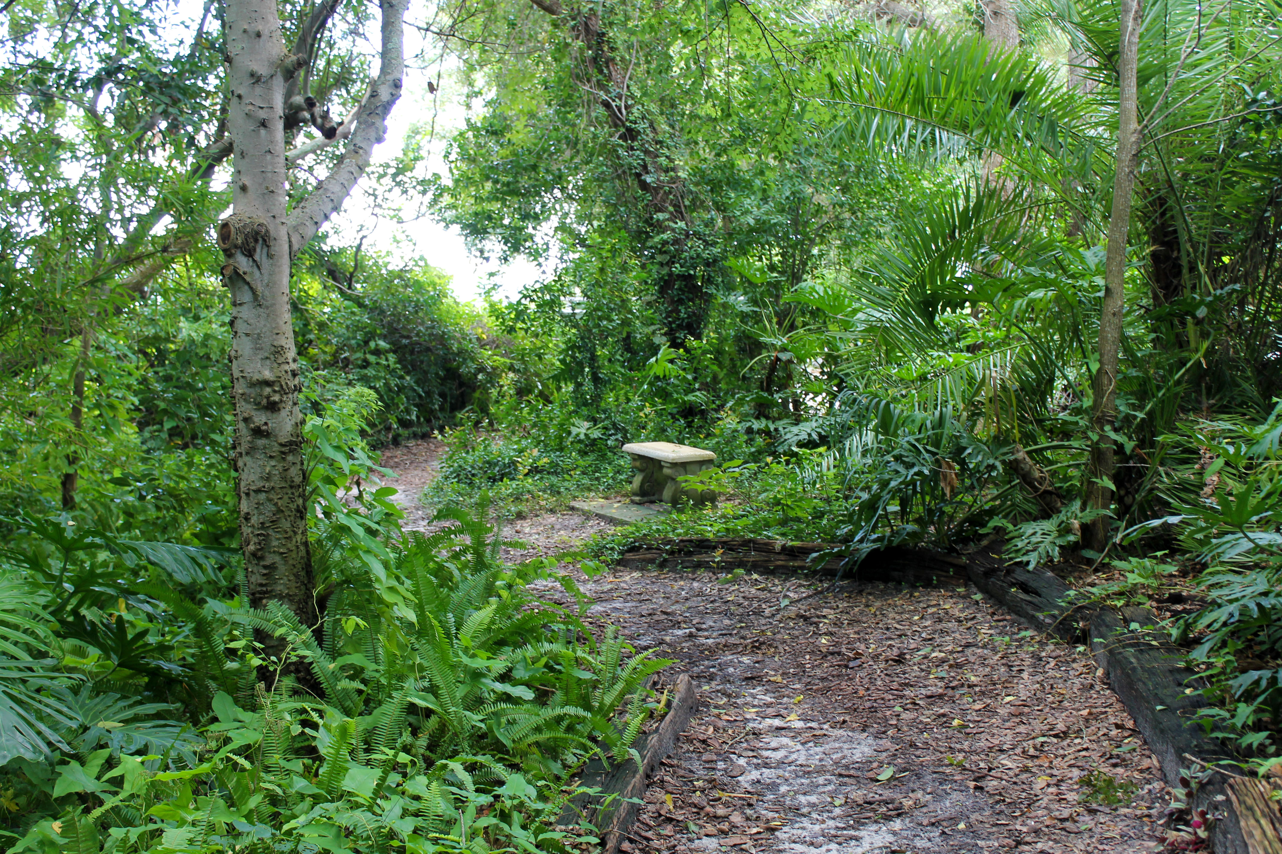 A winding path through Nature Park that has a concrete bench along the path part-way through