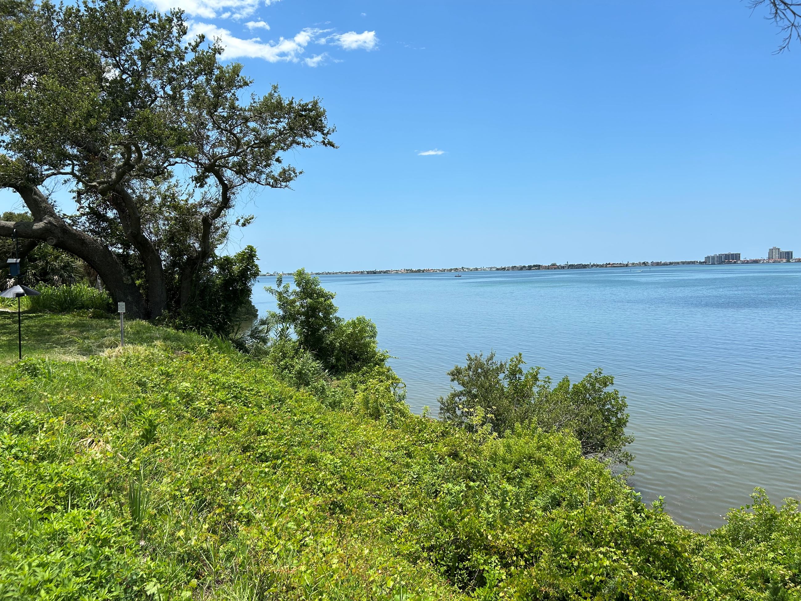 The ocean is seen sparkling beyond the steep, lush green bluff along the coast of Belleair.